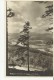 =DE TITISEE FELDBERG  1929 - Feldberg