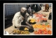 Ali Buda Selling Tomatoes In Gusau, Zamfara State, Nigeria Postcard - Nigeria