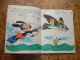 Ses Albums Roses - Mickey Et Pluto Chasseurs Sous-marins Par Walt Disney 1965 - Bibliotheque Rose