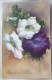 Cpa RARE Litho Illustrateur HWB ALABASTER 4437 JMPORT Hannes PETERSEN Bouquet Fleur Petunia - Petersen, Hannes