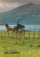 Jaunting Car And Lakes Of Killarney, Co Kerry, Ireland Postcard - Kerry