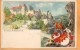 Schloss Rabenstein 1900 Postcard - Zwiesel