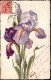 ! Unikat 1903 Old Postcard Handpainted , Switzerland , Geneve Flower, Blumenmotiv Iris, Handgemalt - Otros & Sin Clasificación