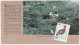 Holiday Resort, Sanctuaries, Horse Butterfly, Conservation, Bird,  A Leaf From Booklet, 1989 - Cigognes & échassiers