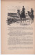 Les Suppléments De Patrie, SAHARA ETERNEL, Joseph Peyré, Goncourt 1935, Edition Baconnier Alger, Port 100g - 1900 - 1949