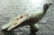 #NSA12 - Römische Bügelfibel - Roman Fibula -Fibula - Tier (Pfau)!! - Bronzi