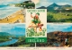 Good Luck From Ireland Postcard Used Posted To UK 1989 Gb Stamp - Other & Unclassified