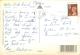 Stupid Irishman's Letter, Ireland Postcard Used Posted To UK 1992 Gb Stamp - Other & Unclassified