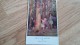 There Must Be FAIRIES Here By Margaret W. TEMPEST Posted 1939 Postcard - Non Classés