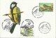 ANDORRA 2014/1996 -UNIQUE  SPECIAL CARD BIRD / OISEAU - TINTIPELLA (CYANISTES CAERULEUS ON CARD OF BIRD OF 1996 FDISSUE - Ungebraucht
