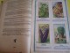 Delcampe - Catalogue/Guide Illustré De Semis/ Graines En Sachets Pour Jardin " Le Paysan"/ Jules BLANC/AVIGNON/1939   CAT57 - Agriculture