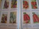 Delcampe - Catalogue/Guide Illustré De Semis/ Graines En Sachets Pour Jardin " Le Paysan"/ Jules BLANC/AVIGNON/1939   CAT57 - Agriculture
