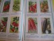 Delcampe - Catalogue/Guide Illustré De Semis/ Graines En Sachets Pour Jardin " Le Paysan"/ Jules BLANC/AVIGNON/1939   CAT57 - Agriculture