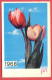 K957 / 1968 - DISTRIBUTION OF RELEASE - Colorful Tulips - Calendar Calendrier Kalender - Bulgaria Bulgarie Bulgarien - Petit Format : 1961-70