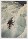 Escalade Dans Les Glaciers - Flamme Chamonix Mont Blanc 1989 - Photo Rigaux - 2 Scans - - Escalada
