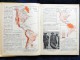 François Pinardel - Géographie Atlas - Le Monde Moins L' Europe Et L'Asie Russe - Les Éditions De L' École - ( 1956 ) . - 6-12 Ans