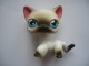 Delcampe - LOT DE 10 ADORABLES PETITS ANIMAUX  PETSHOP - Other & Unclassified