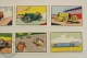 Old Set Of 8 Trading Card/ Chromos 9th Series Topic/ Theme Racing Cars From No #1 To No # 8 - Otros & Sin Clasificación