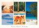 Fraser Island, Queensland, Australia Postcard Used Posted To UK 2003 Stamp - Gold Coast