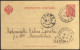 Russie / Pologne 1905. Carte Postale, Entier Postal. Oblitération Ambulant 28, Pour Lomza, Pologne. Texte En Esperanto - Maschinenstempel (EMA)