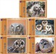 Delcampe - O03182 China Phone Cards Owl 60pcs - Eulenvögel