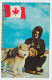 Yukon - Royal Canadian Mounted Police RCMP - Harness Dog - Gendarme Chien Attelage - Stamp & Postmark 1970 - 2 Scans - Yukon