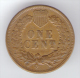 U.S.A. - STATI UNITI D' AMERICA - ONE CENT ( 1905 ) - INDIAN HEAD - 1859-1909: Indian Head