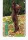 JAPAN - NTT Telephone Card - Animals, Bear - VF USED - Japan