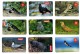 Lot 9 Mobitel Cards,Birds,Slovenia? - Altri & Non Classificati