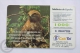 Spanish Collectible  Phone Card: Fauna Iberica - Aguila Culebrera ( Circaetus Gallicus)/ Short-toed Snake Eagle - Águilas & Aves De Presa