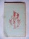 Scoutisme / Scouts De France / Documents / Lot De 2 Revues "Le Chef" 1944 - Voir Les Scans - Scoutisme