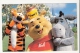 Pooh, Tigger And Eeyour - Disneyworld