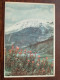Hoyfjellsflora / Anno 1948 ( Zie/voir Foto Voor Details ) !! - Norvège