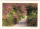 BF13196 Anse Pastreiqure Provence Landscape France Front/back Image - Anse