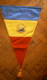 ROMANIA - Federatia Romana De Natatie -  FLAG / PENNANT - Natación