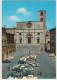 Todi: FORD TAUNUS 12M P4, FIAT 2300S COUPÉ, 500, 600, 1100, 1400, 1100T, RENAULT 4 Etc. - Piazza Del Popolo - (PG) - Voitures De Tourisme