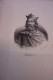 184 Portraits Historiques.de CLODION à Henri DUC D'ORLEANS.litho.de DELPECH à PARIS.25 Cm X 17 Cm. - Lithographies