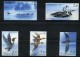 FINLANDE 1189/1193** + C1189**  Oiseaux Aquatiques - Unused Stamps