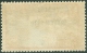 NUOVA CALEDONIA, NEW CALEDONIA, FRENCH TERRITORY, 1928, FRANCOBOLLO NUOVO (MNG), Mi 138, Scott 138, YT 141 - Unused Stamps