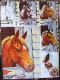 Mona Mills - How To Paint HORSES And Other Animals - Published By Walter Foster - Graphisme & Design