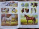 Mona Mills - How To Paint HORSES And Other Animals - Published By Walter Foster - Grafismo & Diseño