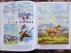 Delcampe - Mona Mills - How To Paint HORSES And Other Animals - Published By Walter Foster - Grafica & Design