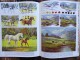 Delcampe - Mona Mills - How To Paint HORSES And Other Animals - Published By Walter Foster - Grafismo & Diseño