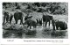 Nyeri,Elephant Photographed From A Window Treetops Hotel,British Commonwealth,Zensur,Air Mail, Stamps Uganda Kenya - Kenia