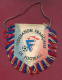 W25  / SPORT - FEDERATION FRANCAISE DE FOOTBALL Soccer Fussball Calcio  11 X  11 Cm. Wimpel Fanion Flag France - Otros & Sin Clasificación