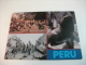 STORIA POSTALE FRANCOBOLLO COMMEMORATIVO Peru Cane Animali Multivedute - Perù
