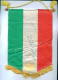 W148 / AUTOGRAPH - SPORT Federazione Italiana Tennis - 15.5 X 23 Cm Wimpel Fanion Flag Italia Italy Italie Italien - Handtekening