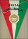 W163 / SPORT HUNGARY FEDERATION  Handball Hand-Ball  Balonmano  24.5 X 33 Cm Wimpel Fanion Flag  Ungarn Hongrie Ungheria - Handbal