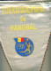 W178 / SPORT - FEDERATIA ROMANIA ( FRH ) Handball Hand-Ball  Balonmano  32 X 45 Cm. Wimpel Fanion Flag - Rumanien - Handball