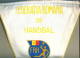 W179 / SPORT - FEDERATIA ROMANIA ( FRH ) Handball Hand-Ball  Balonmano  32 X 45 Cm. Wimpel Fanion Flag - Rumanien - Handball